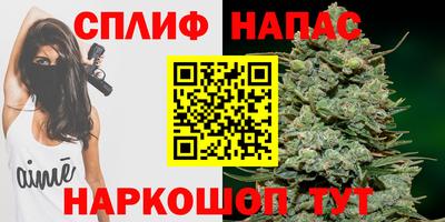 стафф Пугачёв