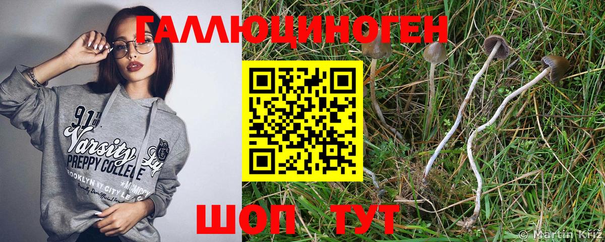 Псилоцибиновые грибы Psilocybine cubensis  Галлюциногенные грибы Magic Shrooms  продажа наркотиков  Вход с VPN  Сухой Лог 